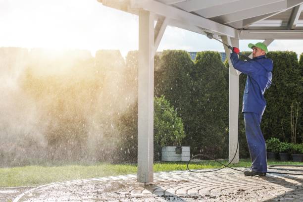 Best Animal Enclosure Cleaning  in Tipton, IN