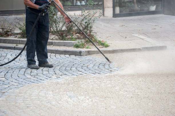 Best Sidewalk and Walkway Cleaning  in Tipton, IN